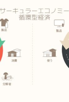 Sustainomics Insights & Trends