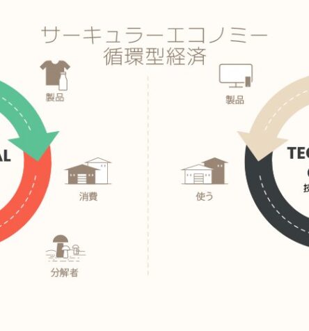 Sustainomics Insights & Trends