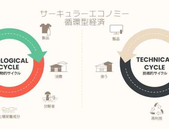 Sustainomics Insights & Trends