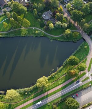 Sustainomics Insights & Trends