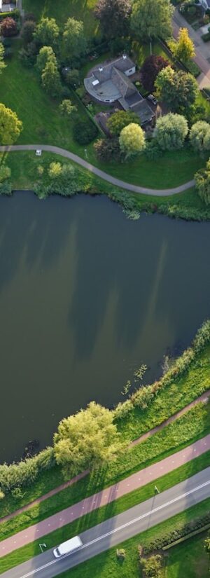 Sustainomics Insights & Trends