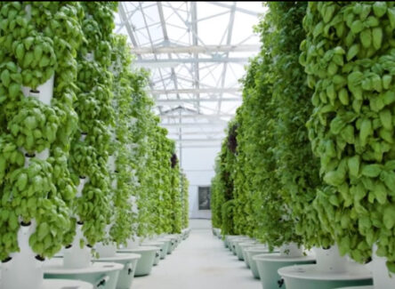 Sustainomics Insights & Trends