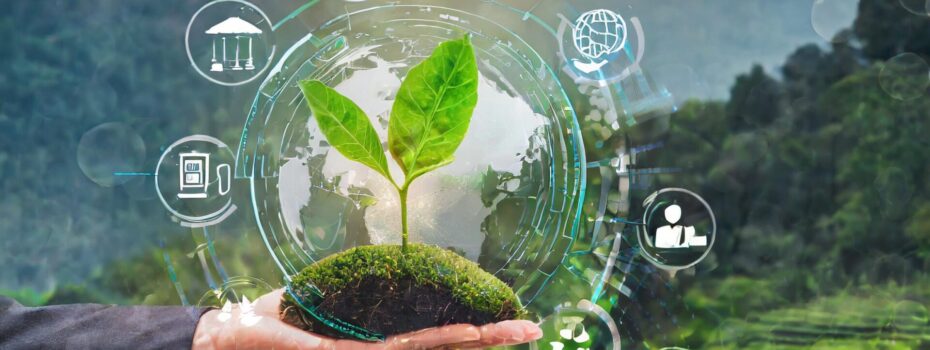 Sustainomics Insights & Trends